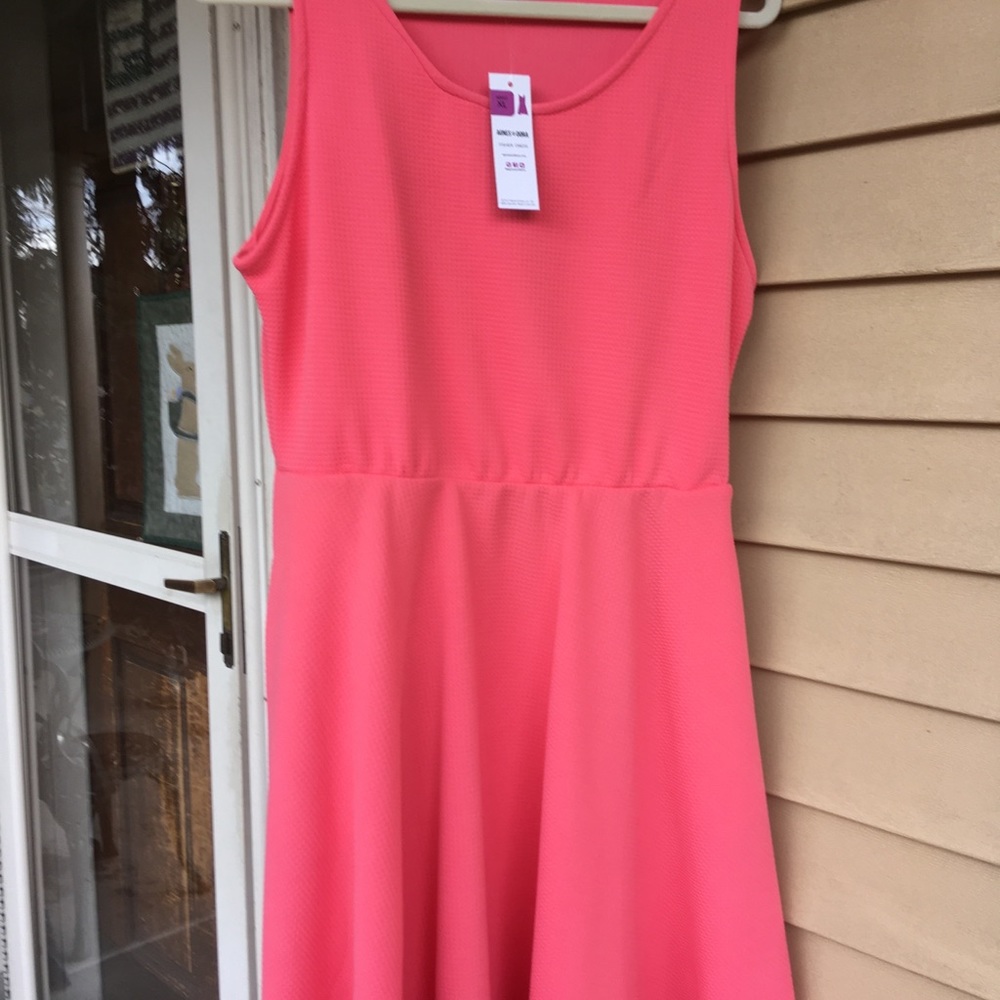 Agnes & Dora Fisher Dress